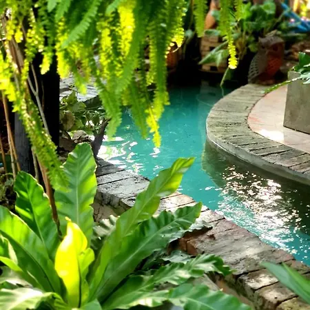 บ้านนกฮูกอิงไม้ อิงมัจฉา Ban Khlong Sai Exterior photo