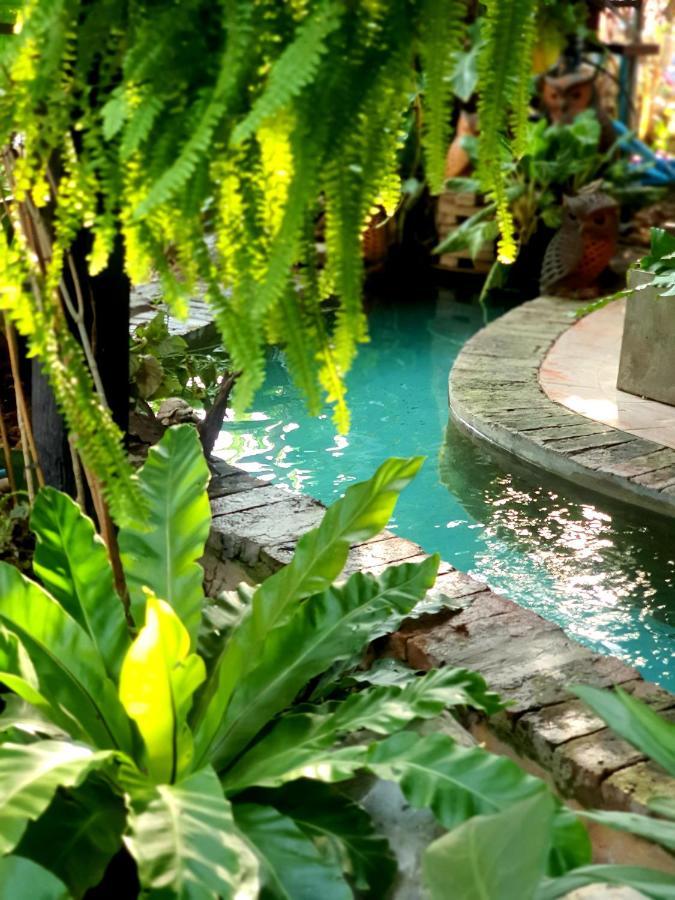 บ้านนกฮูกอิงไม้ อิงมัจฉา Hébergement de vacances Ban Khlong Sai