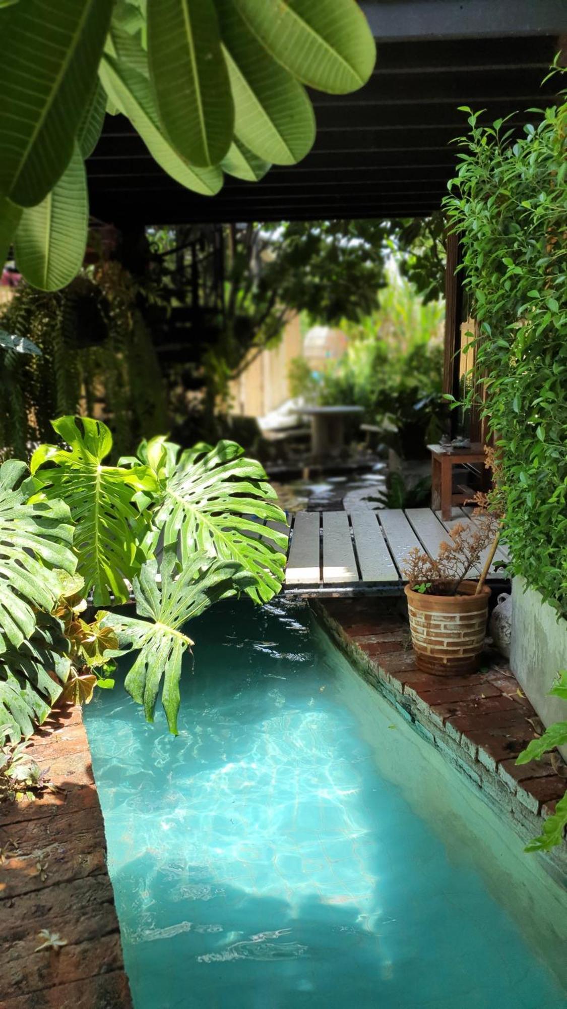 บ้านนกฮูกอิงไม้ อิงมัจฉา Hébergement de vacances *